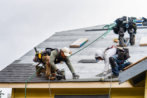 Professional Storm Damage Roof Repair technician working in Pompey, NY